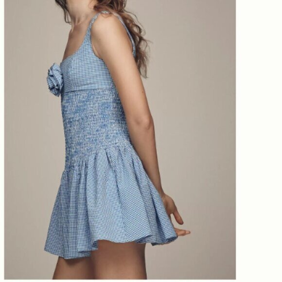 NEW Anthropologie Maeve Smocked Rosette Drop-Waist Ballon Mini Dress Size Large - Picture 3 of 3